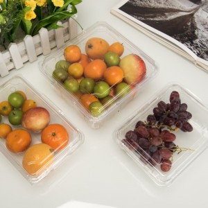 Récipient de fruits en plastique jetable à haute transparence